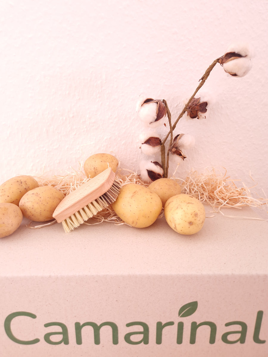 Gemüsebürste aus Holz aus der Tag-Eins Box von Camarinal